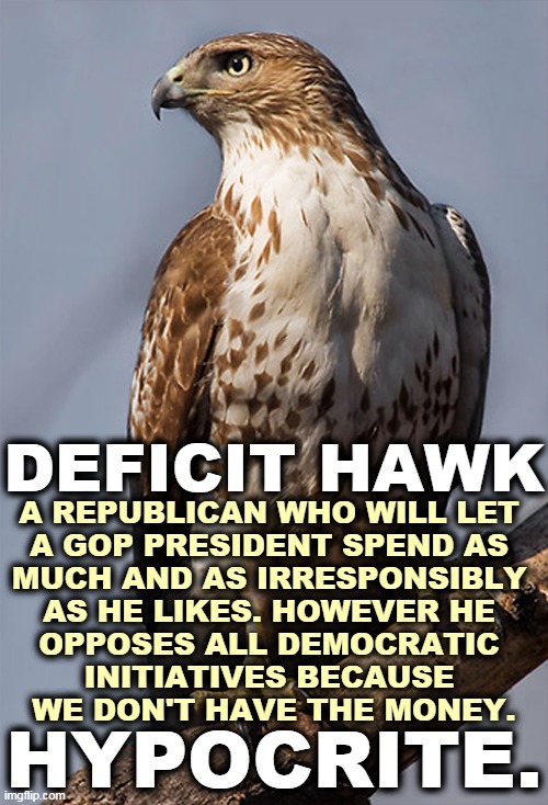 Republican double talk while trying and failing to look virtuous. | A REPUBLICAN WHO WILL LET 
A GOP PRESIDENT SPEND AS 
MUCH AND AS IRRESPONSIBLY 
AS HE LIKES. HOWEVER HE 
OPPOSES ALL DEMOCRATIC 
INITIATIVES BECAUSE 
WE DON'T HAVE THE MONEY. DEFICIT HAWK; HYPOCRITE. | image tagged in republican,gop,hypocrsy | made w/ Imgflip meme maker
