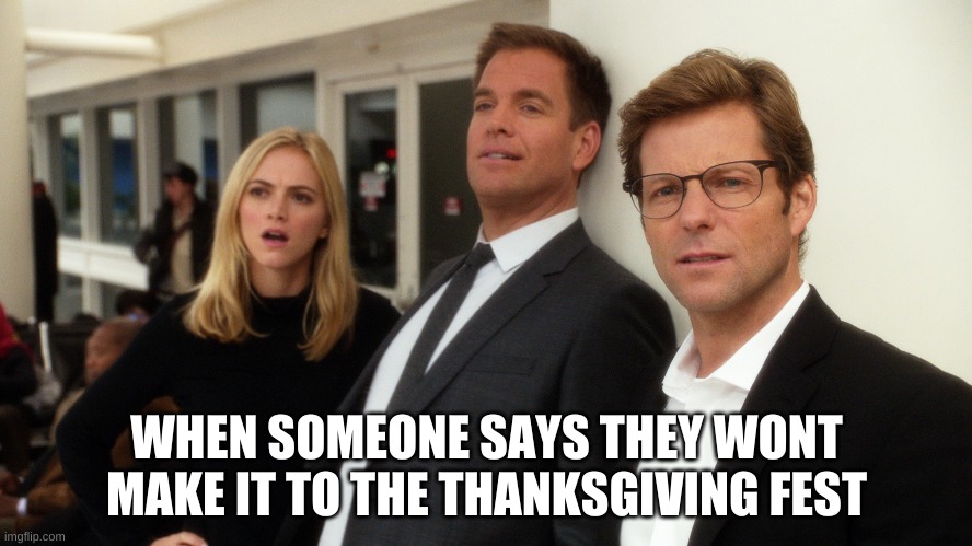 ncis meme | WHEN SOMEONE SAYS THEY WONT MAKE IT TO THE THANKSGIVING FEST | image tagged in ncis flabbergasted | made w/ Imgflip meme maker