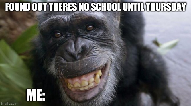 Happy MONKEY MEME | FOUND OUT THERES NO SCHOOL UNTIL THURSDAY; ME: | image tagged in monkey | made w/ Imgflip meme maker