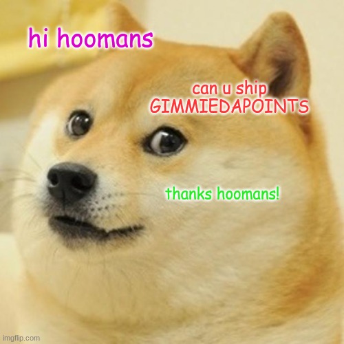yes | hi hoomans; can u ship GIMMIEDAPOINTS; thanks hoomans! | image tagged in memes,doge | made w/ Imgflip meme maker
