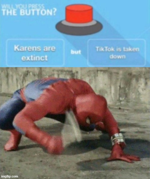I see this as an absolute win! | image tagged in spiderman,button,will you press the button | made w/ Imgflip meme maker