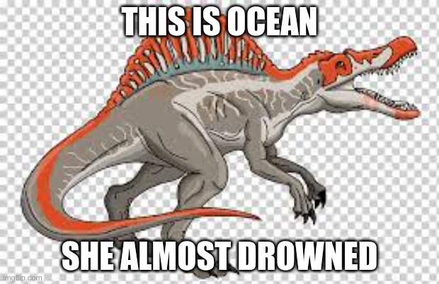 Spino | THIS IS OCEAN; SHE ALMOST DROWNED | image tagged in jurassic park | made w/ Imgflip meme maker