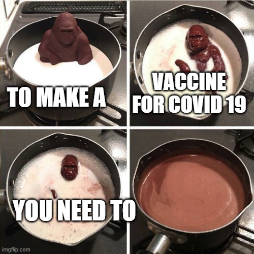 chocolate gorilla | VACCINE FOR COVID 19; TO MAKE A; YOU NEED TO | image tagged in chocolate gorilla,memes | made w/ Imgflip meme maker
