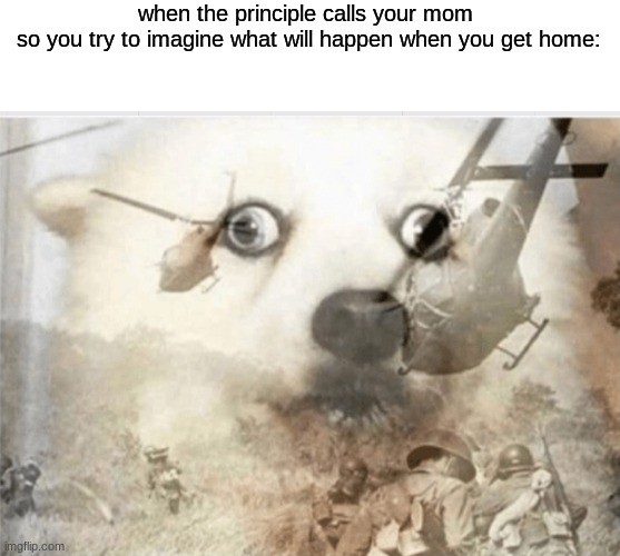 PTSD dog | when the principle calls your mom 
so you try to imagine what will happen when you get home: | image tagged in ptsd dog | made w/ Imgflip meme maker