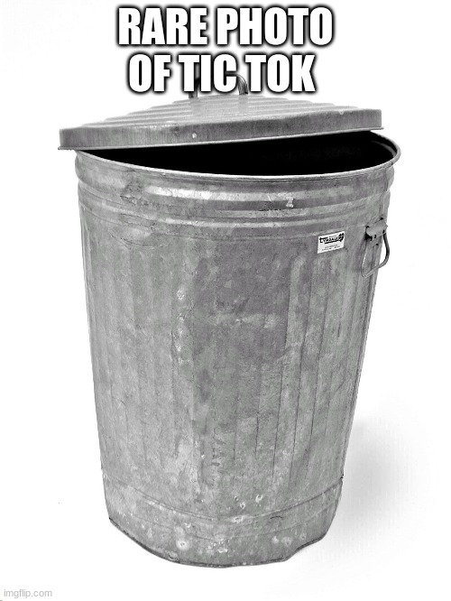 Trash Can | RARE PHOTO OF TIC TOK | image tagged in trash can | made w/ Imgflip meme maker