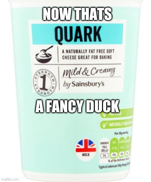 Yes that's rather 'Quaark' | NOW THATS; A FANCY DUCK | image tagged in funny,first world problems | made w/ Imgflip meme maker