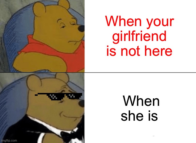 Hehe | When your girlfriend is not here; When she is | image tagged in memes,tuxedo winnie the pooh | made w/ Imgflip meme maker