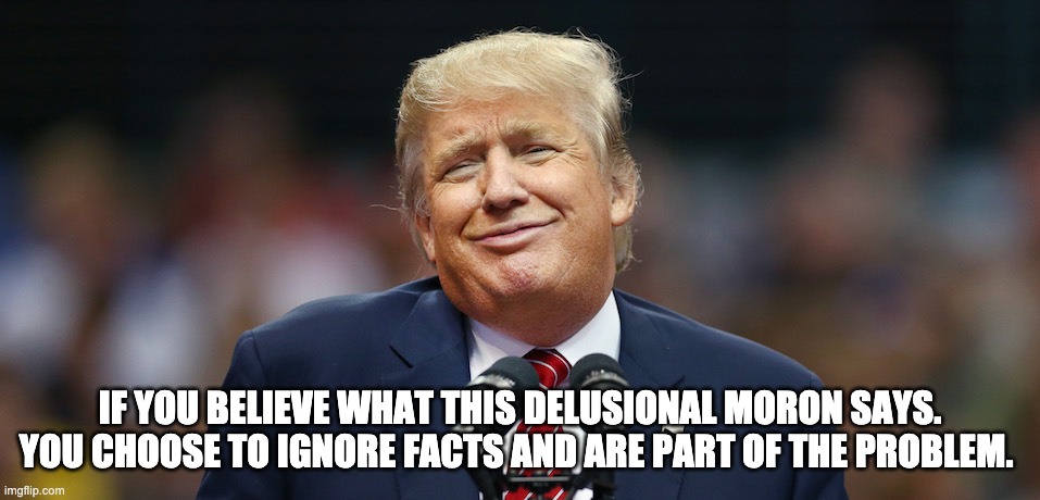 Trump delusional | IF YOU BELIEVE WHAT THIS DELUSIONAL MORON SAYS. YOU CHOOSE TO IGNORE FACTS AND ARE PART OF THE PROBLEM. | image tagged in donald trump | made w/ Imgflip meme maker