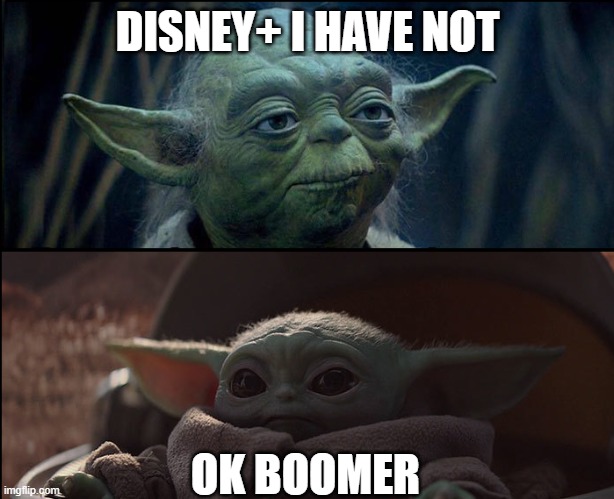 ok boomer | DISNEY+ I HAVE NOT OK BOOMER | image tagged in ok boomer | made w/ Imgflip meme maker