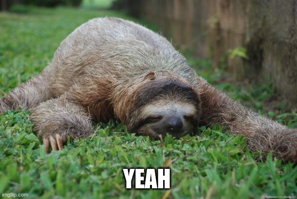 Sleeping sloth | YEAH | image tagged in sleeping sloth | made w/ Imgflip meme maker