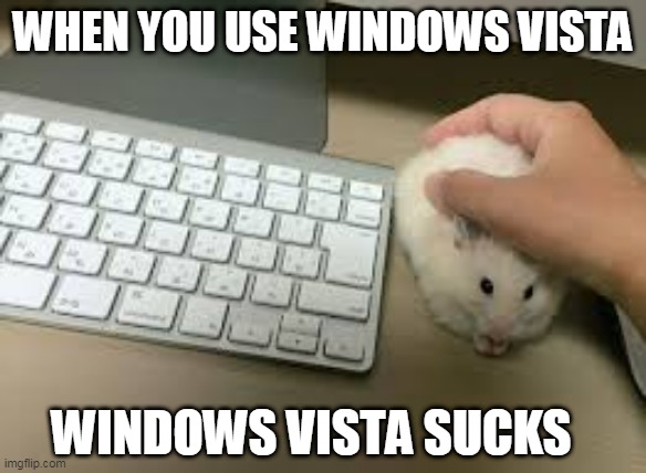 Windows Vista sucks | WHEN YOU USE WINDOWS VISTA; WINDOWS VISTA SUCKS | image tagged in windows,windows vista | made w/ Imgflip meme maker