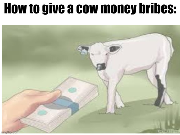 How to give a cow money bribes: | made w/ Imgflip meme maker