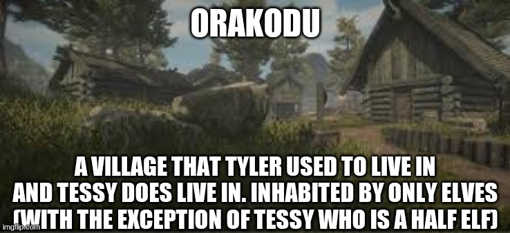 Orakudo | ORAKODU; A VILLAGE THAT TYLER USED TO LIVE IN AND TESSY DOES LIVE IN. INHABITED BY ONLY ELVES (WITH THE EXCEPTION OF TESSY WHO IS A HALF ELF) | made w/ Imgflip meme maker