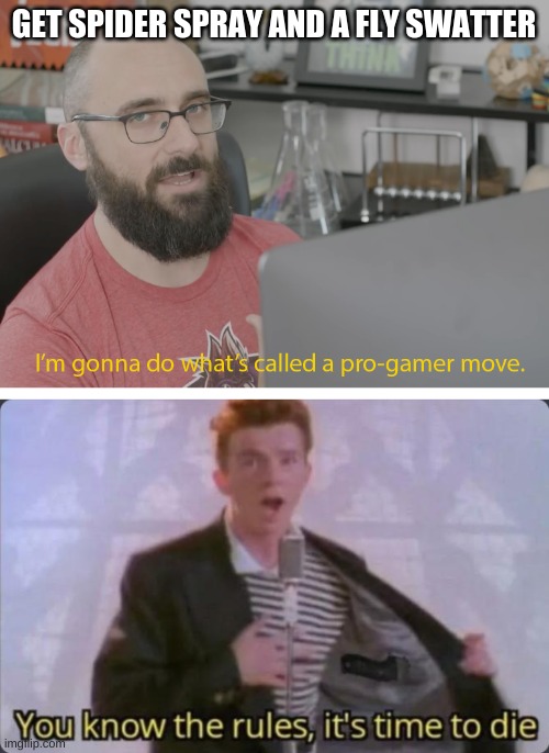 GET SPIDER SPRAY AND A FLY SWATTER | image tagged in i'm gonna do what's called a pro-gamer move,you know the rules it's time to die | made w/ Imgflip meme maker