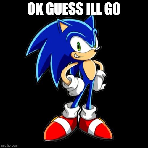 You're Too Slow Sonic Meme | OK GUESS ILL GO | image tagged in memes,you're too slow sonic | made w/ Imgflip meme maker