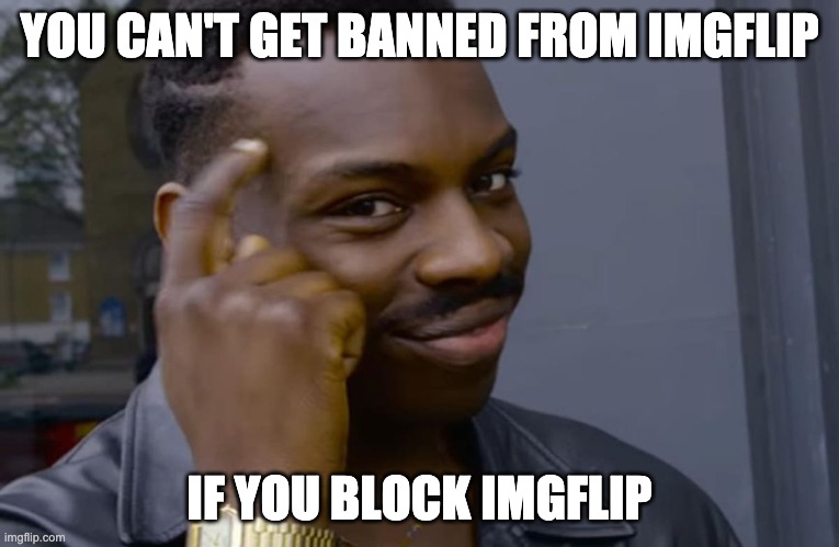 you can't if you don't | YOU CAN'T GET BANNED FROM IMGFLIP IF YOU BLOCK IMGFLIP | image tagged in you can't if you don't | made w/ Imgflip meme maker