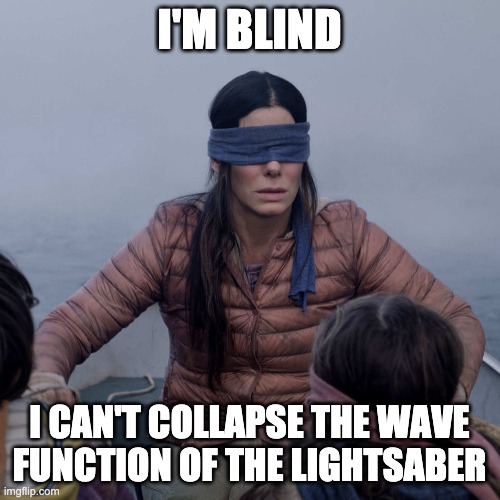 Bird Box Meme | I'M BLIND I CAN'T COLLAPSE THE WAVE FUNCTION OF THE LIGHTSABER | image tagged in memes,bird box | made w/ Imgflip meme maker