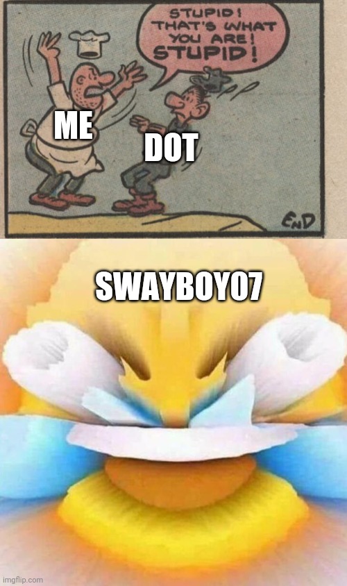 ME DOT SWAYBOY07 | image tagged in stupid that's what you are stupid,screaming laughing emoji | made w/ Imgflip meme maker