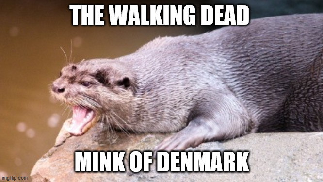Walking Dead Mink | THE WALKING DEAD; MINK OF DENMARK | image tagged in walking dead,denmark | made w/ Imgflip meme maker