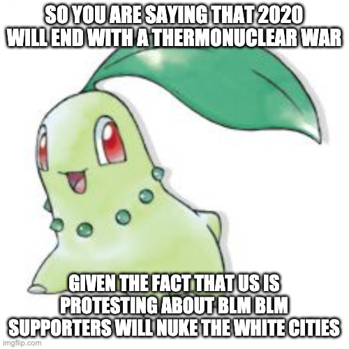 Chikorita | SO YOU ARE SAYING THAT 2020 WILL END WITH A THERMONUCLEAR WAR GIVEN THE FACT THAT US IS PROTESTING ABOUT BLM BLM SUPPORTERS WILL NUKE THE WH | image tagged in chikorita | made w/ Imgflip meme maker