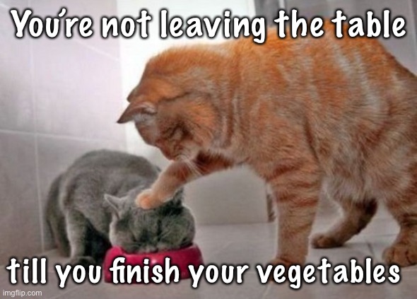 Force feed cat | You’re not leaving the table; till you finish your vegetables | image tagged in force feed cat | made w/ Imgflip meme maker