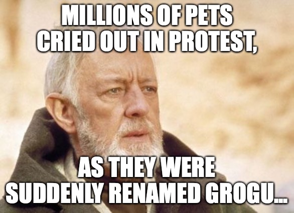 Pets renamed Grogu | MILLIONS OF PETS CRIED OUT IN PROTEST, AS THEY WERE SUDDENLY RENAMED GROGU... | image tagged in memes,obi wan kenobi | made w/ Imgflip meme maker