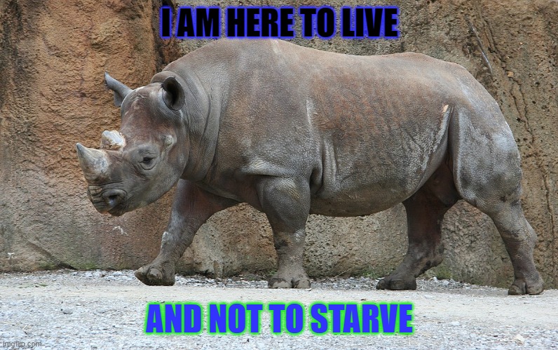 A rhino | I AM HERE TO LIVE; AND NOT TO STARVE | image tagged in a rhino | made w/ Imgflip meme maker