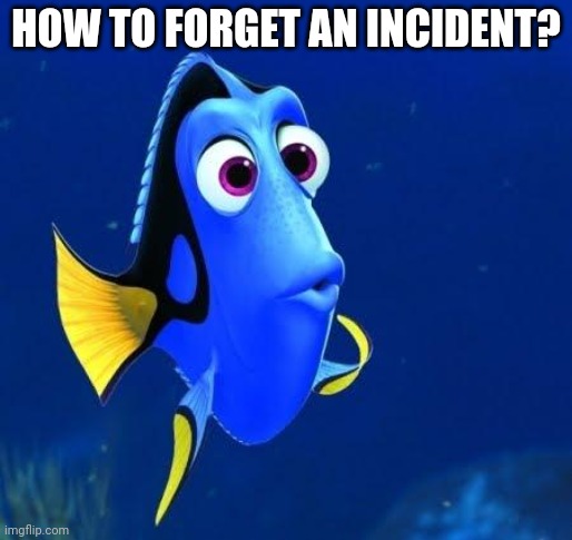 dory | HOW TO FORGET AN INCIDENT? | image tagged in dory | made w/ Imgflip meme maker