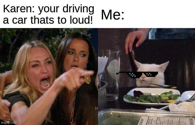 KAREN | Karen: your driving a car thats to loud! Me: | image tagged in memes,woman yelling at cat | made w/ Imgflip meme maker