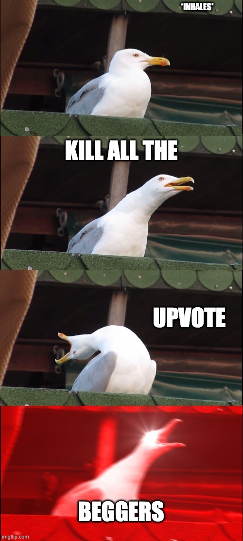 STOP UPVOTE BEGGING | *INHALES*; KILL ALL THE; UPVOTE; BEGGERS | image tagged in memes,inhaling seagull | made w/ Imgflip meme maker