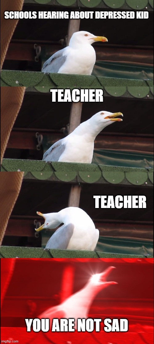 why do schools do this? | SCHOOLS HEARING ABOUT DEPRESSED KID; TEACHER; TEACHER; YOU ARE NOT SAD | image tagged in memes,inhaling seagull | made w/ Imgflip meme maker