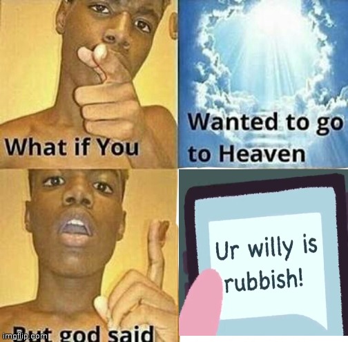 God has gone too far | image tagged in what if you wanted to go to heaven,god | made w/ Imgflip meme maker