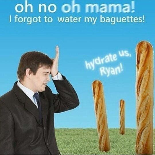 Dry baguettes Blank Meme Template