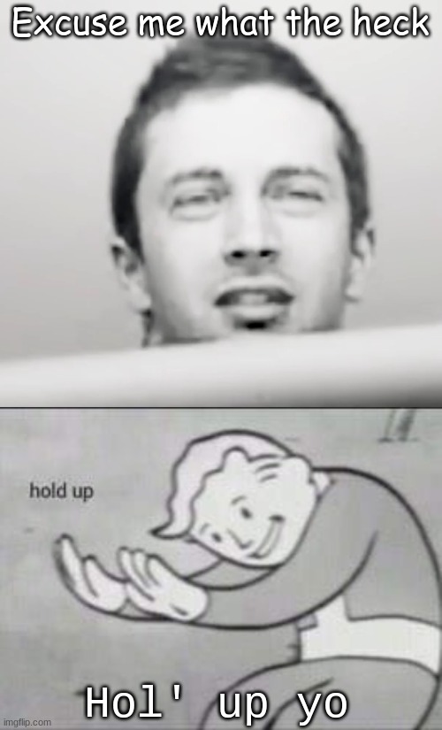 The two memes combine to the holy religion of memes | Excuse me what the heck; Hol' up yo | image tagged in tyler joseph what,fallout hold up,crossover | made w/ Imgflip meme maker