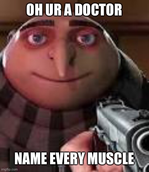 Yea name them | OH UR A DOCTOR; NAME EVERY MUSCLE | image tagged in gru,meme,gru with gun | made w/ Imgflip meme maker