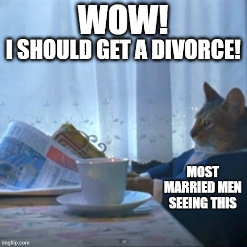 Cat reading the paper | I SHOULD GET A DIVORCE! WOW! MOST MARRIED MEN SEEING THIS | image tagged in cat reading the paper | made w/ Imgflip meme maker