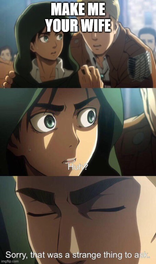 wifey? | MAKE ME YOUR WIFE | image tagged in strange question attack on titan | made w/ Imgflip meme maker