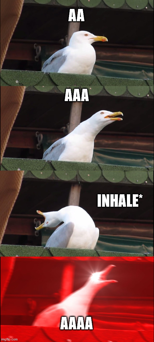 aa aaa aaaa | AA; AAA; INHALE*; AAAA | image tagged in memes,inhaling seagull | made w/ Imgflip meme maker