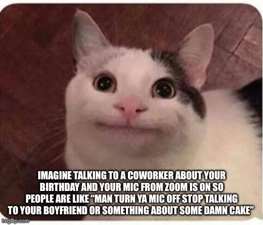 Nobody cares about birthdays I guess. This was from 9/25 | IMAGINE TALKING TO A COWORKER ABOUT YOUR BIRTHDAY AND YOUR MIC FROM ZOOM IS ON SO PEOPLE ARE LIKE “MAN TURN YA MIC OFF STOP TALKING TO YOUR BOYFRIEND OR SOMETHING ABOUT SOME DAMN CAKE” | image tagged in polite cat | made w/ Imgflip meme maker