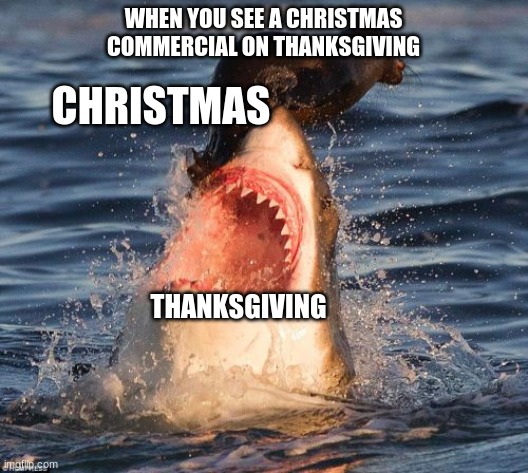christmas vs. thanksgiving | WHEN YOU SEE A CHRISTMAS COMMERCIAL ON THANKSGIVING; CHRISTMAS; THANKSGIVING | image tagged in memes,travelonshark | made w/ Imgflip meme maker