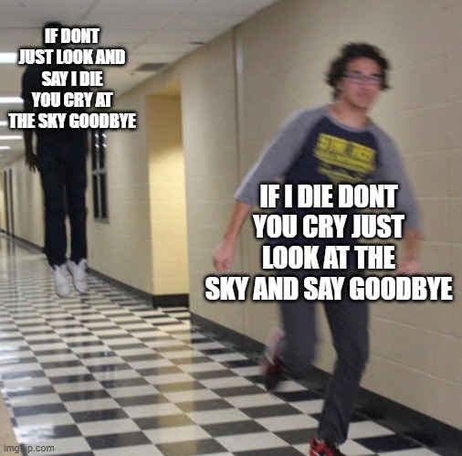 Running away in hallway | IF DONT JUST LOOK AND SAY I DIE YOU CRY AT THE SKY GOODBYE IF I DIE DONT YOU CRY JUST LOOK AT THE SKY AND SAY GOODBYE | image tagged in running away in hallway | made w/ Imgflip meme maker