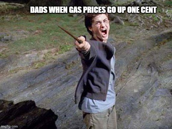Harry Potter Yelling | DADS WHEN GAS PRICES GO UP ONE CENT | image tagged in harry potter yelling | made w/ Imgflip meme maker