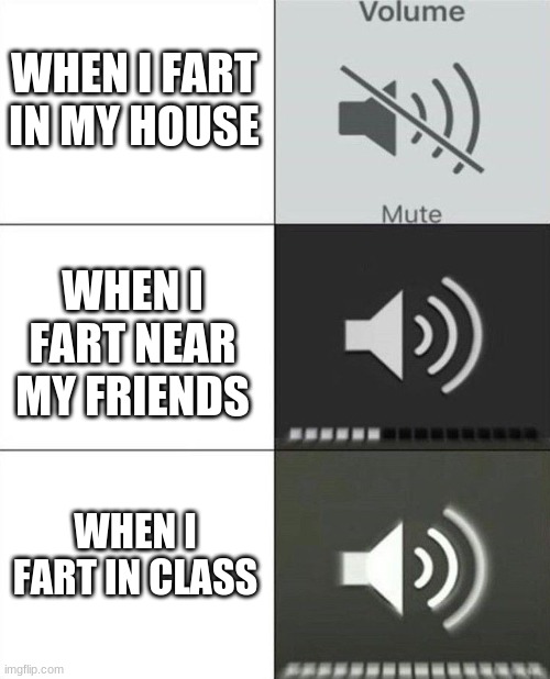 Volume | WHEN I FART IN MY HOUSE; WHEN I FART NEAR MY FRIENDS; WHEN I FART IN CLASS | image tagged in volume | made w/ Imgflip meme maker