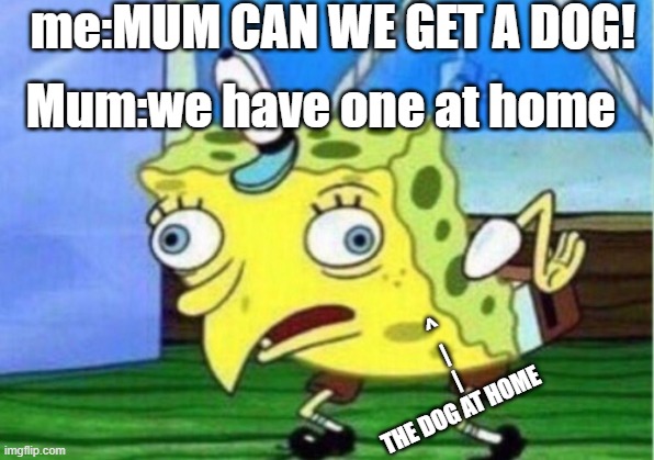Mocking Spongebob | me:MUM CAN WE GET A DOG! Mum:we have one at home; ^
     |
     |
 THE DOG AT HOME | image tagged in memes,mocking spongebob | made w/ Imgflip meme maker