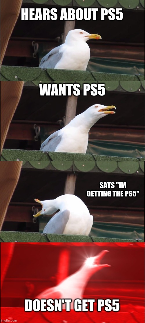 Inhaling Seagull | HEARS ABOUT PS5; WANTS PS5; SAYS "IM GETTING THE PS5"; DOESN'T GET PS5 | image tagged in memes,inhaling seagull | made w/ Imgflip meme maker