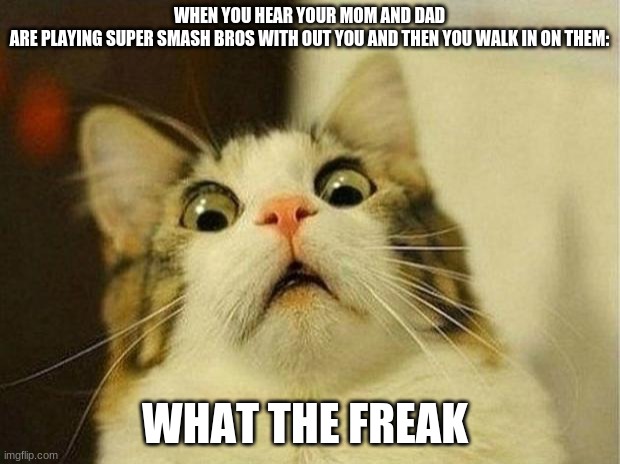 Scared Cat Meme | WHEN YOU HEAR YOUR MOM AND DAD ARE PLAYING SUPER SMASH BROS WITH OUT YOU AND THEN YOU WALK IN ON THEM:; WHAT THE FREAK | image tagged in memes,scared cat | made w/ Imgflip meme maker