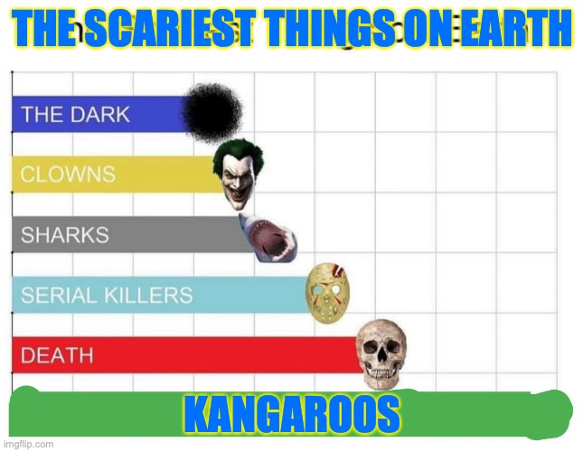 scariest things on earth | THE SCARIEST THINGS ON EARTH; KANGAROOS | image tagged in scariest things on earth | made w/ Imgflip meme maker
