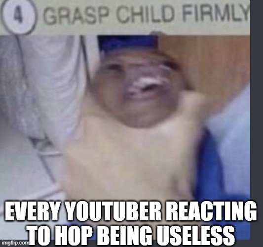 Grasp child firmly | EVERY YOUTUBER REACTING TO HOP BEING USELESS | image tagged in grasp child firmly | made w/ Imgflip meme maker