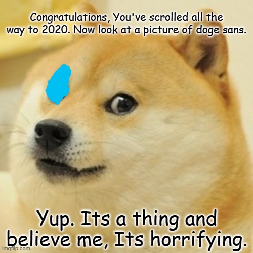 Sans Doge | Congratulations, You've scrolled all the way to 2020. Now look at a picture of doge sans. Yup. Its a thing and believe me, Its horrifying. | image tagged in memes,doge | made w/ Imgflip meme maker