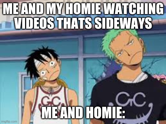hate sideways vids | ME AND MY HOMIE WATCHING VIDEOS THATS SIDEWAYS; ME AND HOMIE: | image tagged in one piece confused by jakobe gaines | made w/ Imgflip meme maker